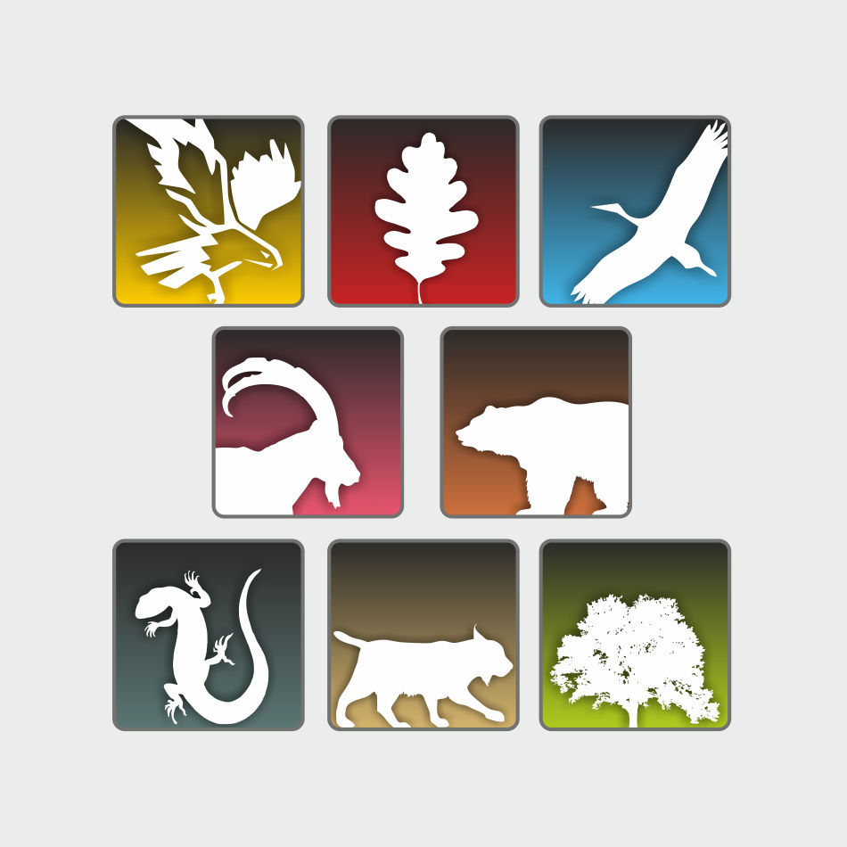 Infonatur_Blabla Factory_iconografia_3